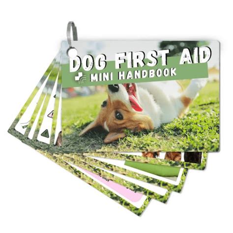 the pet first aid book Epub
