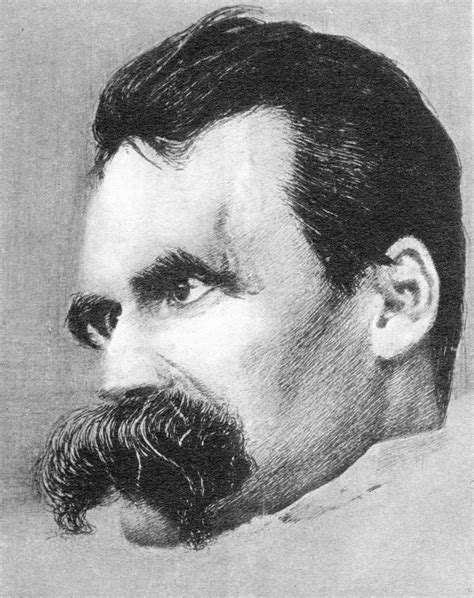 the philosophy of friedrich nietzsche Reader