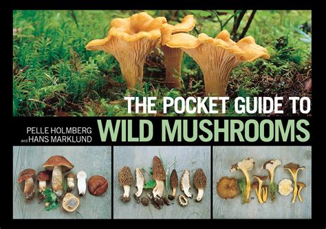 the pocket guide to wild mushrooms helpful tips for mushrooming in the field PDF