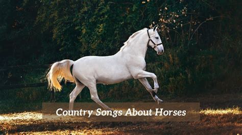 the power of horses true stories from country music stars PDF