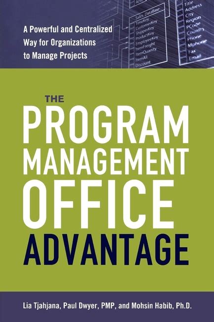 the program management office advantage a powerful and centralized way for organizations to manage projects Doc