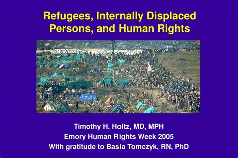 the property rights of refugees and internally displaced persons the property rights of refugees and internally displaced persons PDF