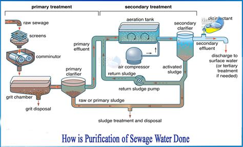 the purification and sewage and water PDF
