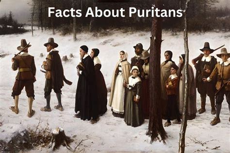 the puritans the puritans Reader