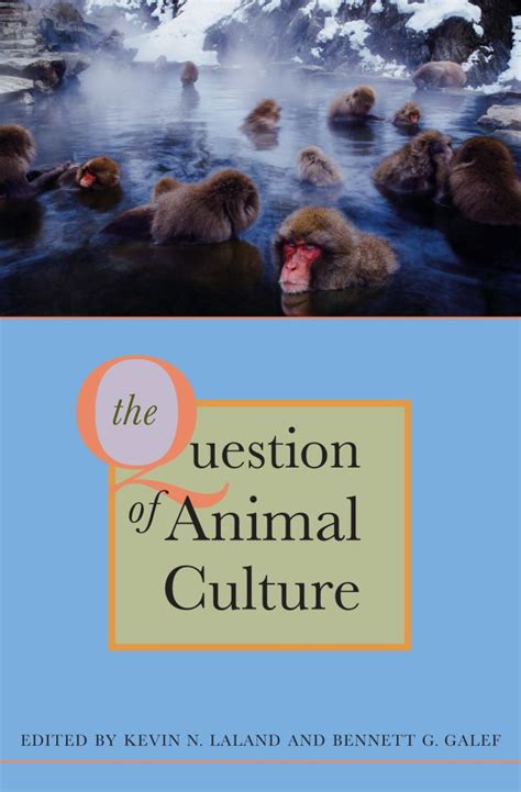 the question of animal culture hardcover Doc