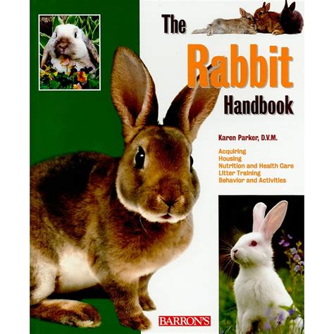 the rabbit handbook barrons pet handbooks Doc