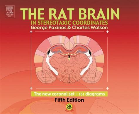 the rat brain in stereotaxic Kindle Editon