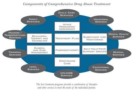 the rehabilitation model of substance Doc