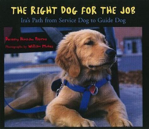 the right dog for the job iras path from service dog to guide dog Doc