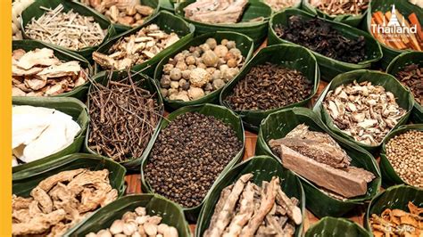 the role of thai traditional medicine in health promotion Reader