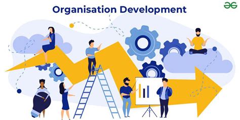 the roles of organisation development Kindle Editon