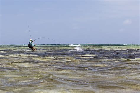 the saltwater wilderness Doc