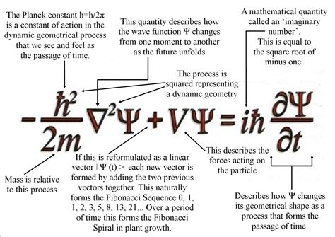 the schrödinger equation mathematics and its applications Kindle Editon