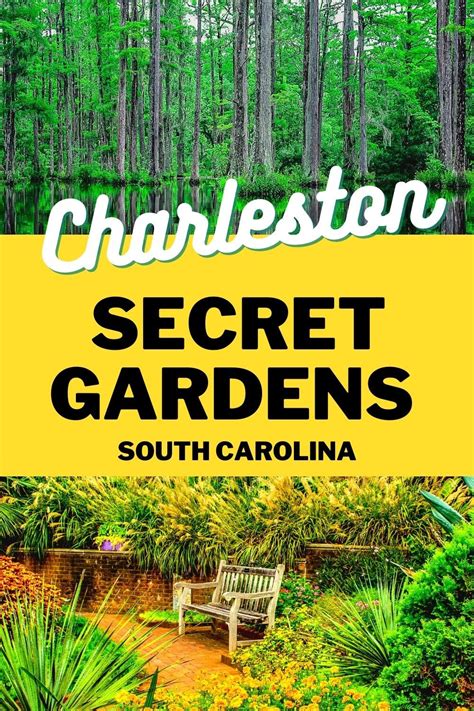 the secret gardens of charleston Reader