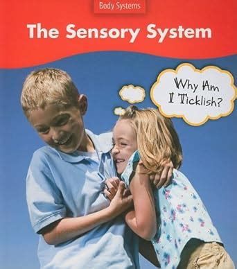 the sensory system why am i ticklish? body systems Doc