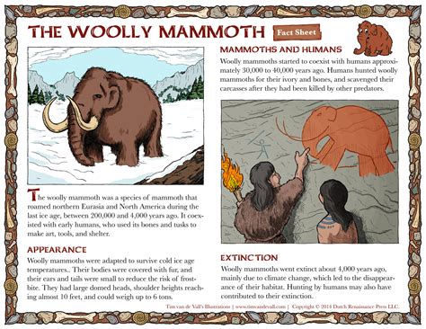 the sheet mammoth