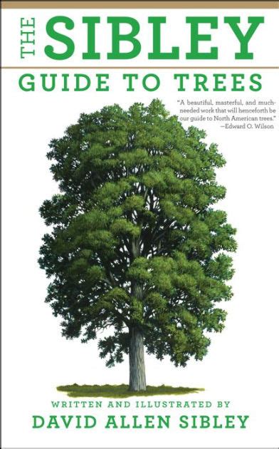 the sibley guide to trees Doc