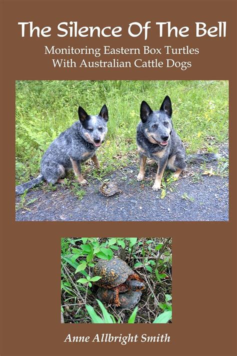 the silence of the bell monitoring eastern box turtles with australian cattle dogs PDF