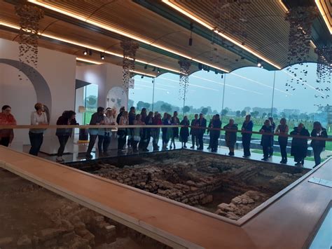 the social work of museums PDF