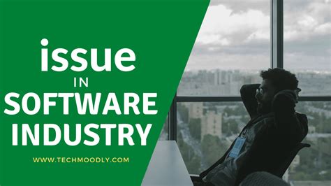 the software industry the software industry PDF