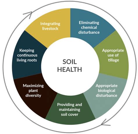 the soil and health a study of organic agriculture Doc