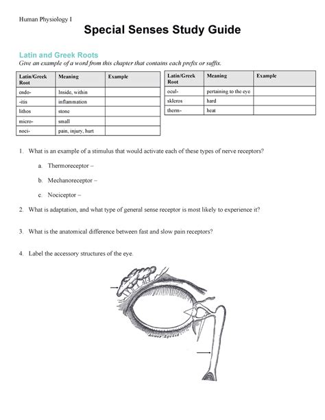the special senses study guide Kindle Editon