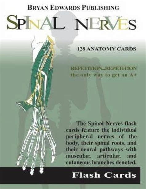 the spinal nerves flash cards flash paks Kindle Editon