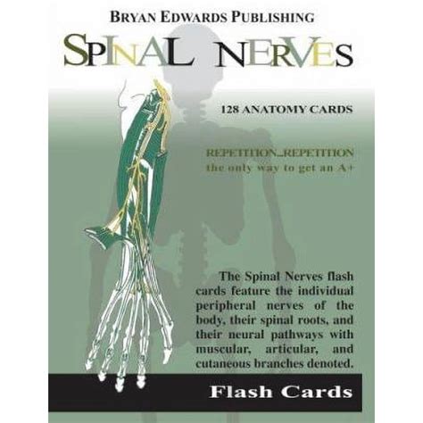 the spinal nerves flash cards flash paks Kindle Editon