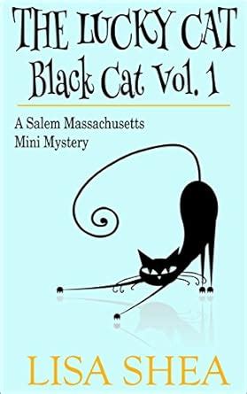 the stalker black cat vol 18 a salem massachusetts mini mystery Reader