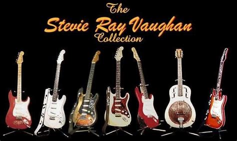 the stevie ray vaughan guitar collection Kindle Editon