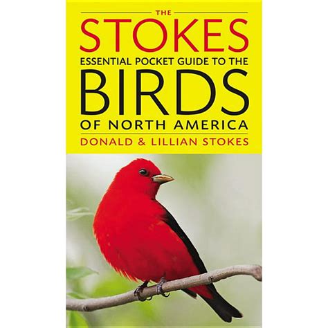 the stokes essential pocket guide to the birds of north america Kindle Editon