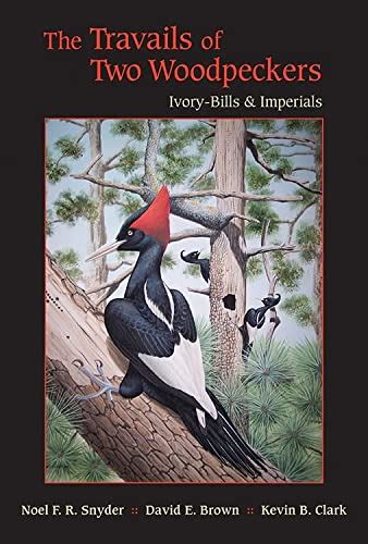 the travails of two woodpeckers ivory bills and imperials PDF