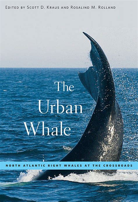 the urban whale north atlantic right whales at the crossroads Doc