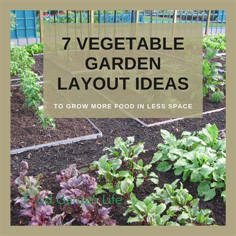 the vegetable garden what when and how to plant Reader