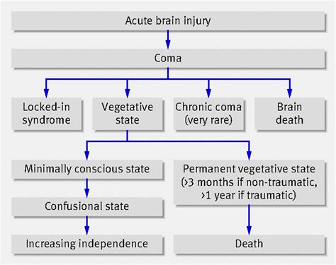 the vegetative state the vegetative state Epub