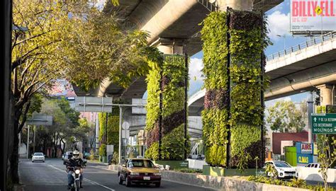 the vertical garden from nature to the city revised and updated PDF