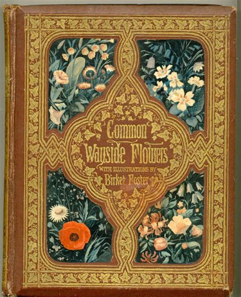 the victorian illustrated book the victorian illustrated book Epub