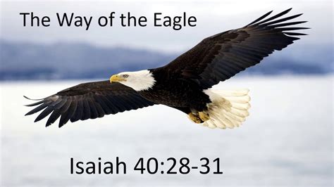 the way of the eagle Doc