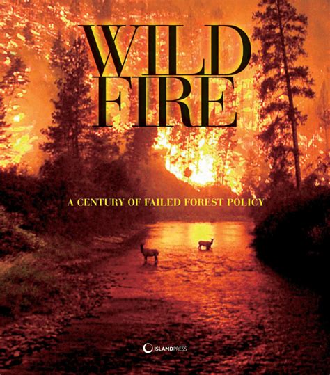 the wildfire reader a century of failed forest policy PDF