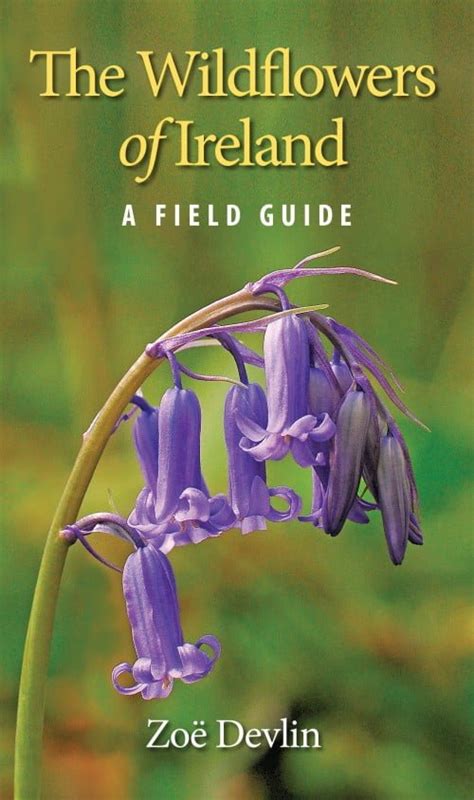 the wildflowers of ireland a field guide Epub