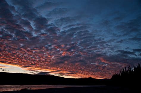 the wilding of america sparknotes PDF