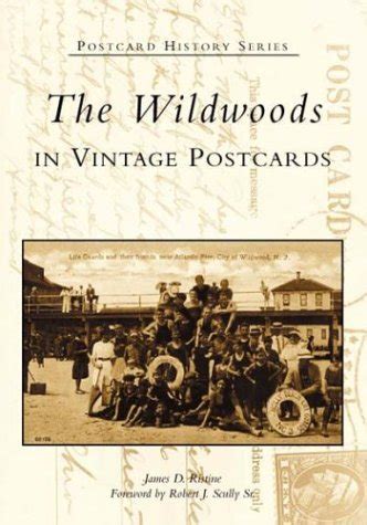 the wildwoods in vintage postcards nj postcard history series Epub