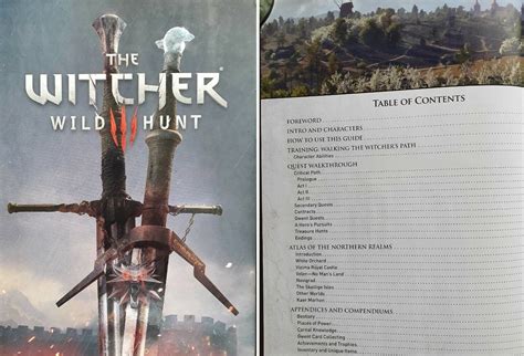 The Witcher 3 Wild Hunt Walkthrough