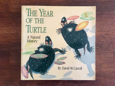 the year of the turtle a natural history Epub
