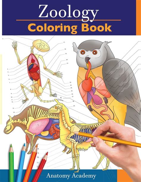 the zoology coloring book Epub