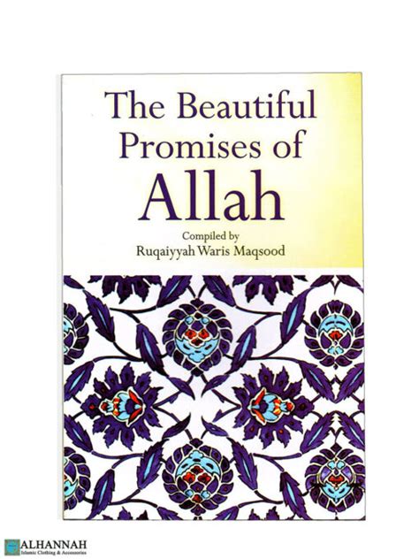 the-beautiful-promises-of-allah-free Ebook Epub