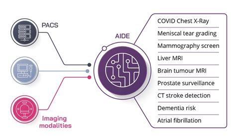 themiaisabella: A Gateway to the Future of AI-Empowered Healthcare