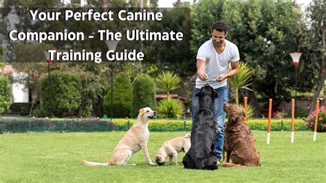 therealgeesuave: The Ultimate Canine Training Guide