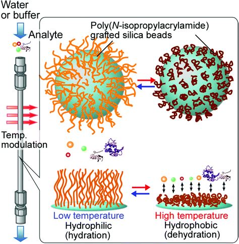 thermoresponsive materials