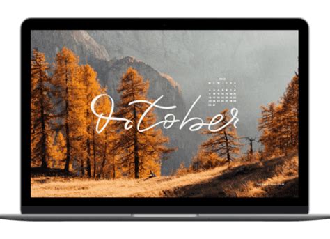 theverygirl october 2023 tech background